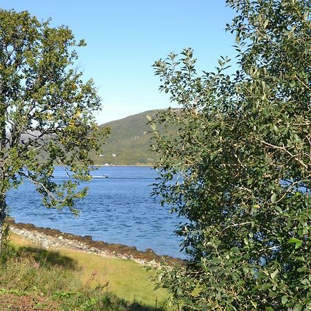 Kvaloya Lodge Futrikelv Екстериор снимка