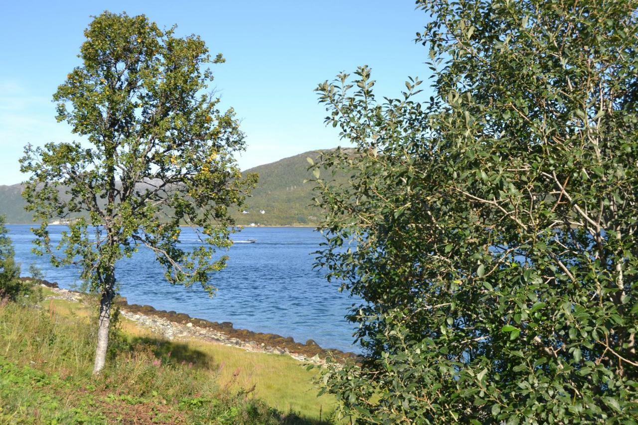 Kvaloya Lodge Futrikelv Екстериор снимка